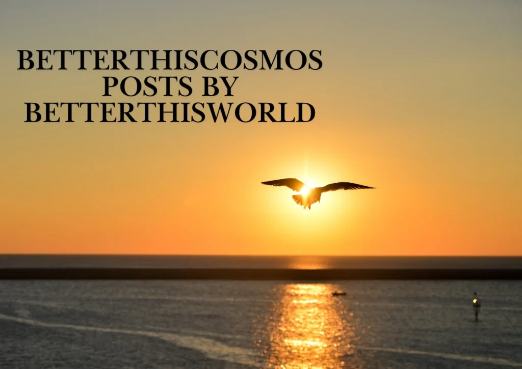 betterthiscosmos posts by betterthisworld